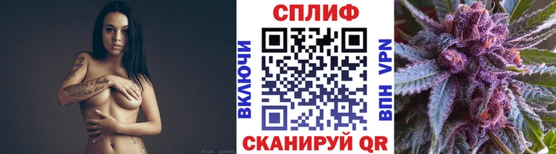 Бошки марихуана марихуана  Купить закладки  Новотроицк 